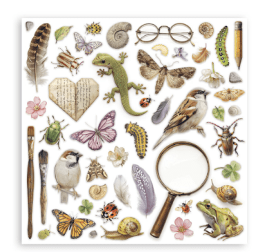 Stamperia 12x12 Maxi Paper Pack - All Around