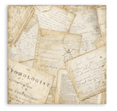Stamperia 8x8 Maxi Paper Pack - All Around