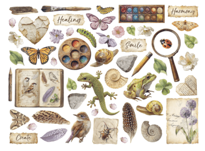 Stamperia Die Cuts - All Around 
