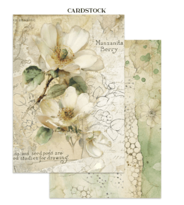 Stamperia Junk Journal A5 Focus Points - All Around