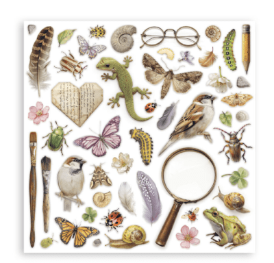 Stamperia 8x8 Maxi Paper Pack - All Around