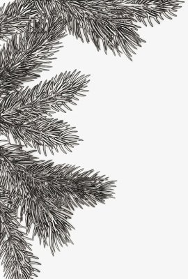 Tim Holtz Sizzix 3-D Embossing Folder - Pine Branches